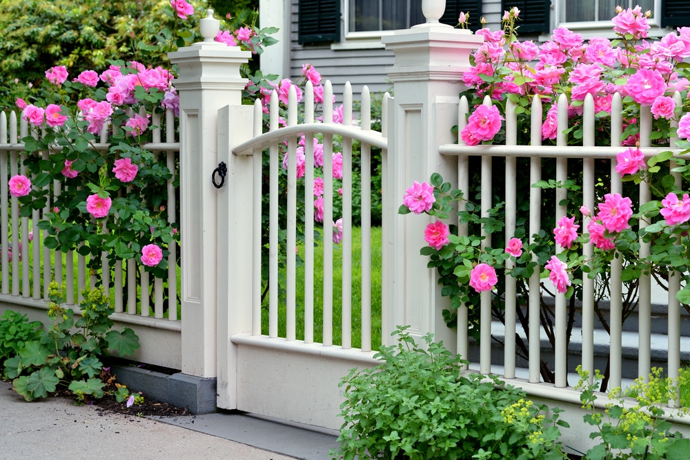 pink flowers on a front gate of a bed and breakfast: Everyone you need to know when it comes to how to start a bed and breakfast