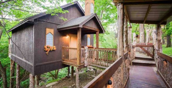 Exterior image of Treehouse business for sale in Eureka Springs