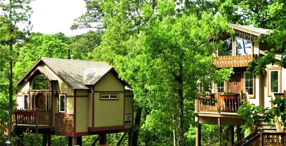 Grand-Treehouse-Resort_Tilt