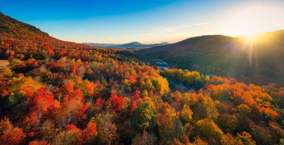 Aerial,View,Of,Mountain,Forests,With,Brilliant,Fall,Colors,In Aerial,View,Of,Mountain,Forests,With,Brilliant,Fall,Colors,In