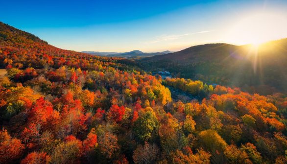 Aerial,View,Of,Mountain,Forests,With,Brilliant,Fall,Colors,In